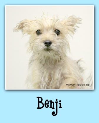 Benji