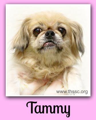 Tammy