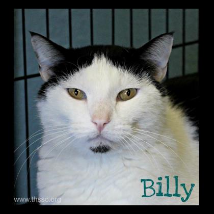 Billy