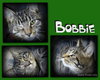 Bobbie