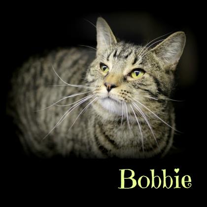 Bobbie