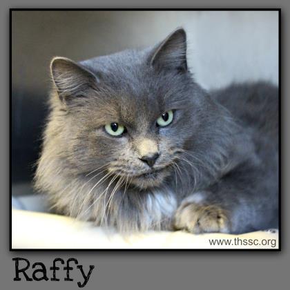 Raffy