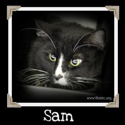 Sam