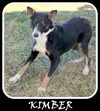 Kimber
