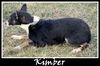 Kimber
