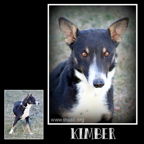 Kimber