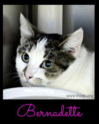 Bernadette