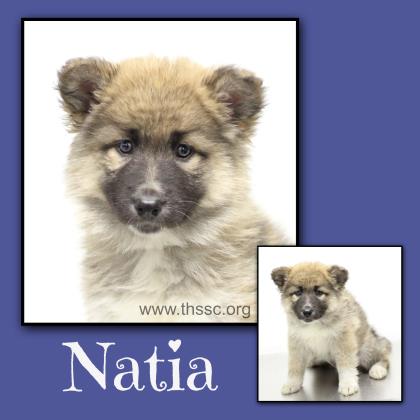 Natia