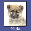 Natia