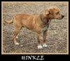 Hinkle