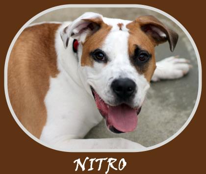 Nitro