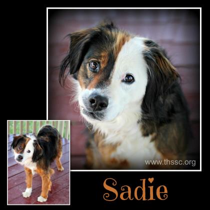 Sadie