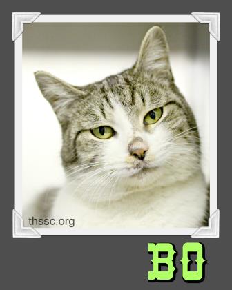 Bo