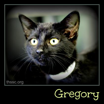 Gregory