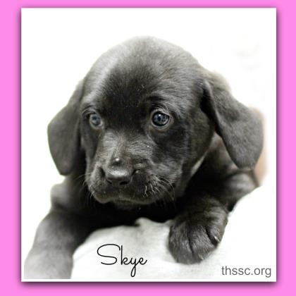Skye