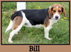 Bill