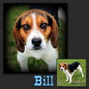 Bill
