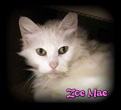 Zoe Mae