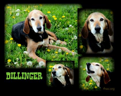 Dillinger