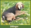 Dillinger