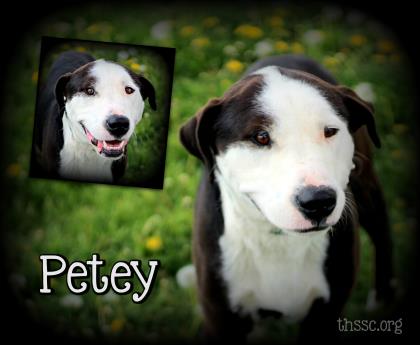 Petey