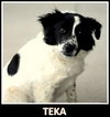 Teka