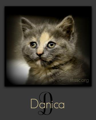 Danica
