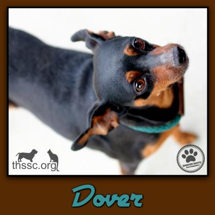 Dover
