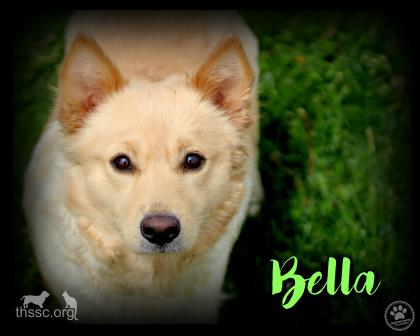 Bella