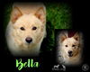 Bella