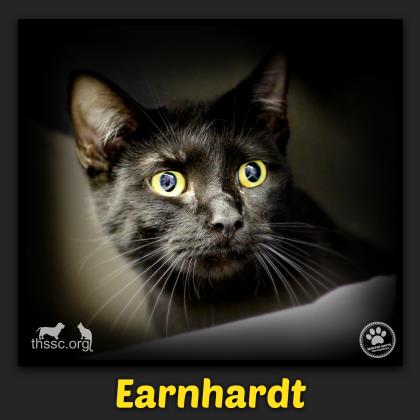 Earnhardt