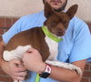 Roscoe - Photo 2