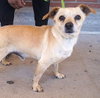 Guero - Photo 2