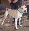 Penny - Photo 1
