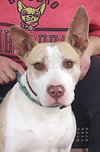 Penny - Photo 2