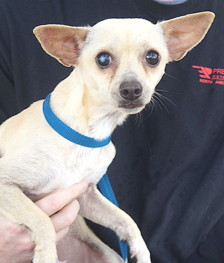 Atom