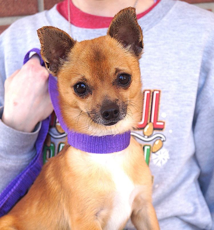 Buster Image