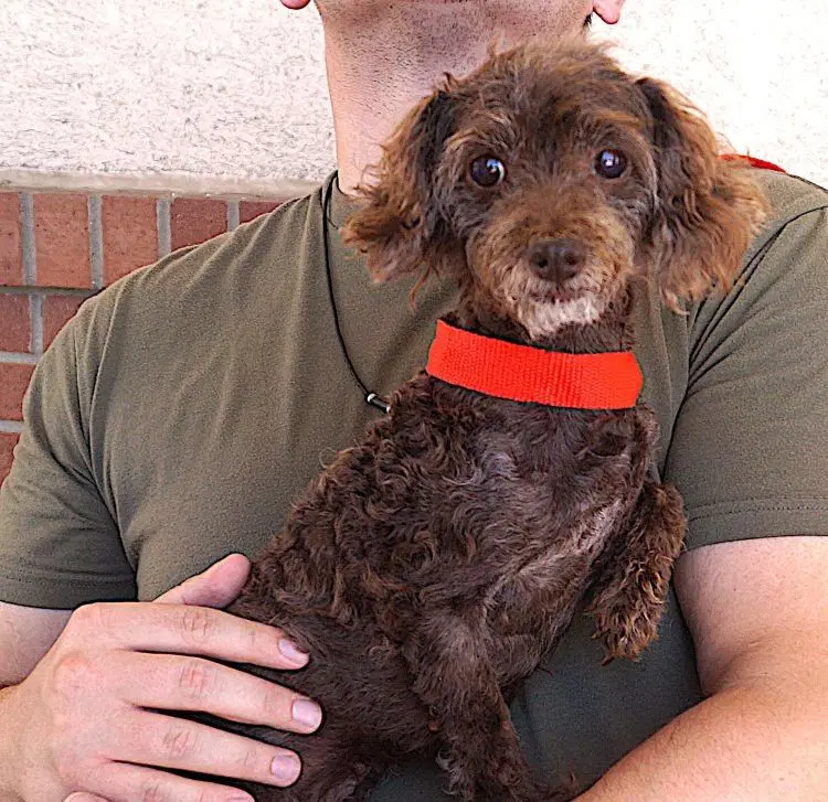 Gertie image 3