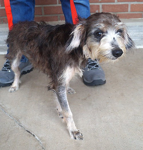 Photo 3 of Misty