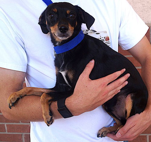 Photo 3 of Samson