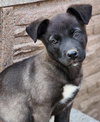 Cubby - Photo 5
