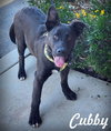 Cubby - Photo 8