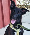 Cubby Bear - Photo 3
