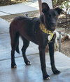 Cubby Bear - Photo 4