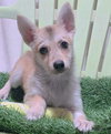 John - Photo 8