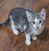 Mike - Photo 3