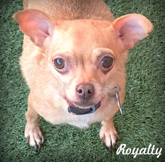 Royalty Image