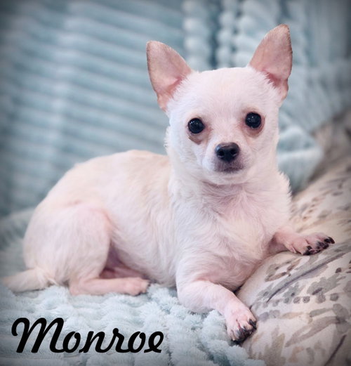 Monroe