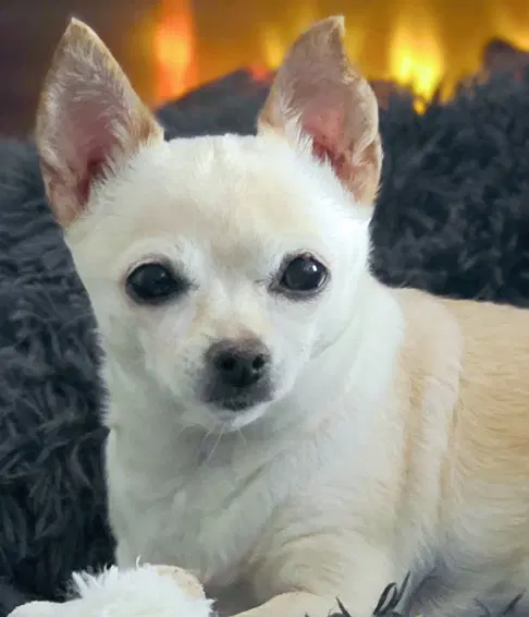 Milly image 2