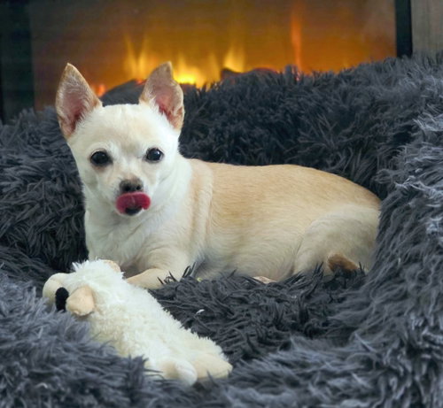 Photo 5 of Milly